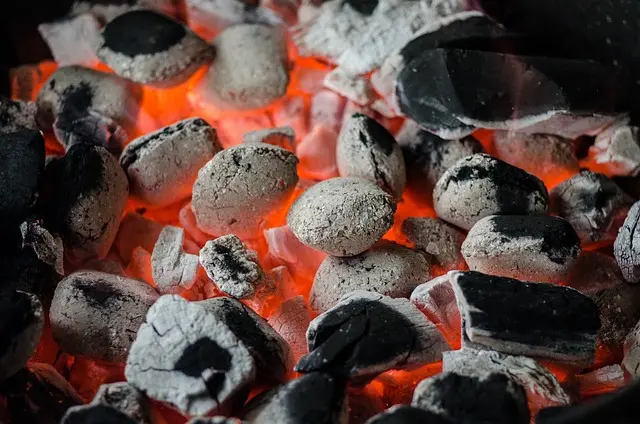 Guide d'achat : Meilleur barbecue à gaz
