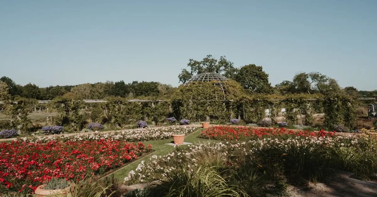 Meilleur équipement de jardinage : guide complet